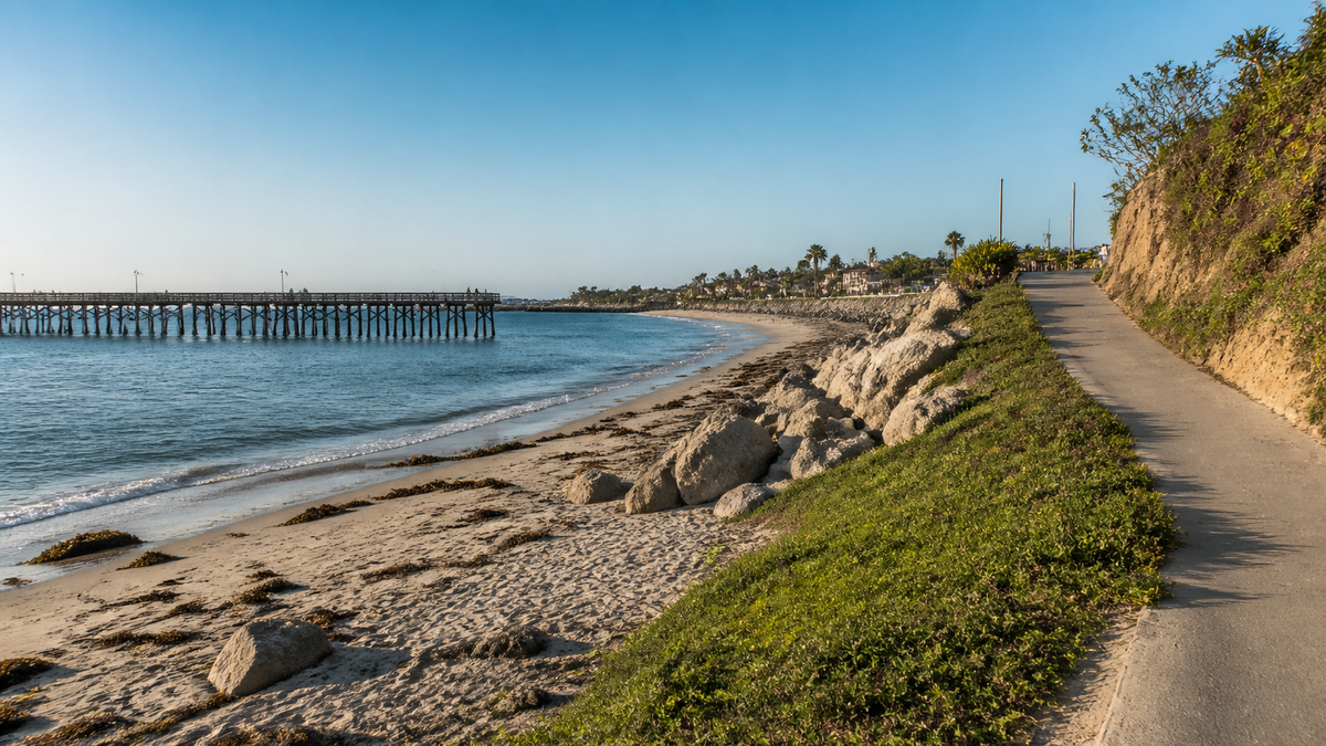 Shore path and fishing pier viewed during a tide-aware art outing